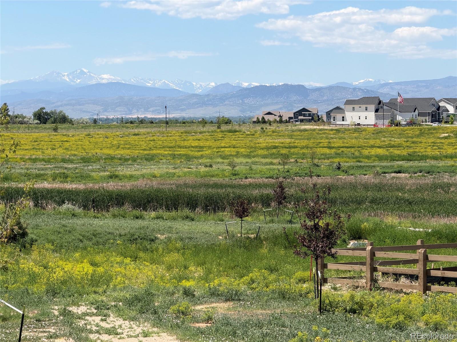 1365 Weller Ct, Timnath, CO 80547