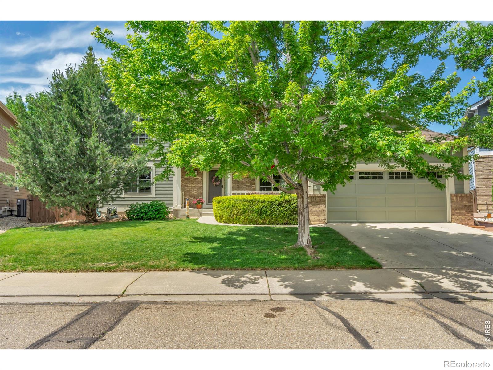 1321 Wildrose Ct, Longmont, CO 80503