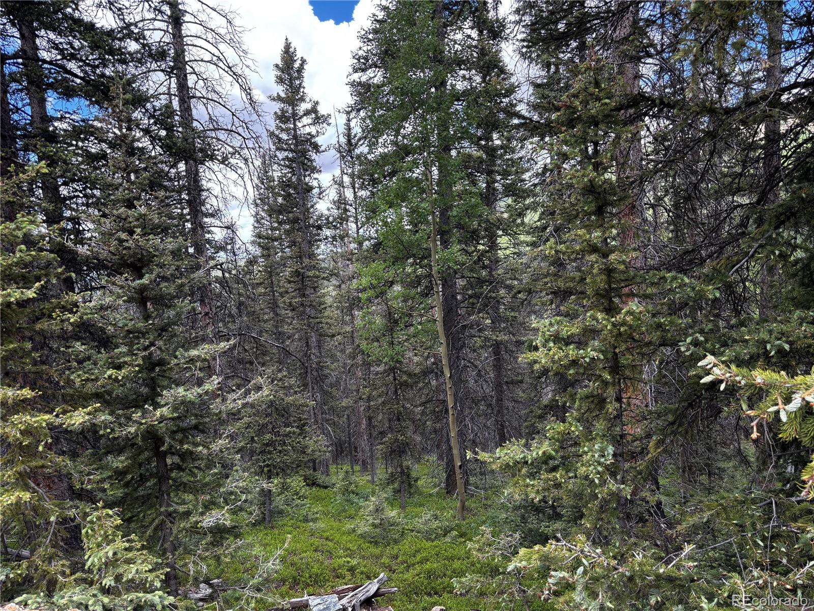 00 Forbes Rd, Fort Garland, CO 81133