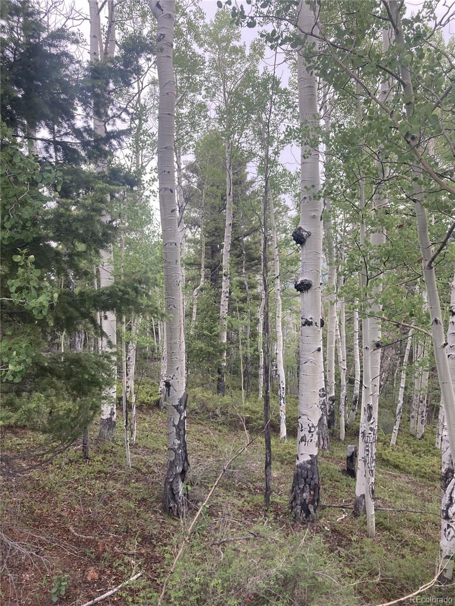 Lot 6858 Starkweather Rd, San Luis, CO 81152