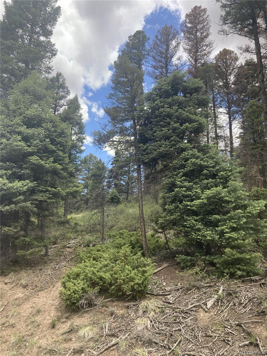 Lot 6858 Starkweather Rd, San Luis, CO 81152