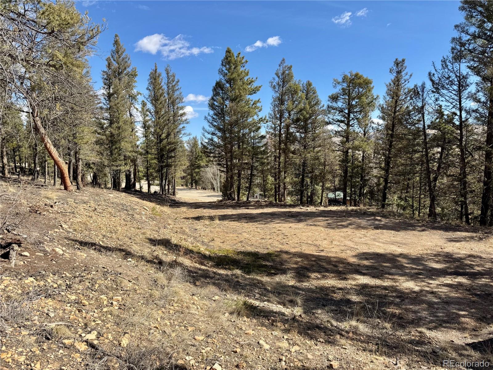 2403 Redhill Rd Lot 037, Fairplay, CO 80440