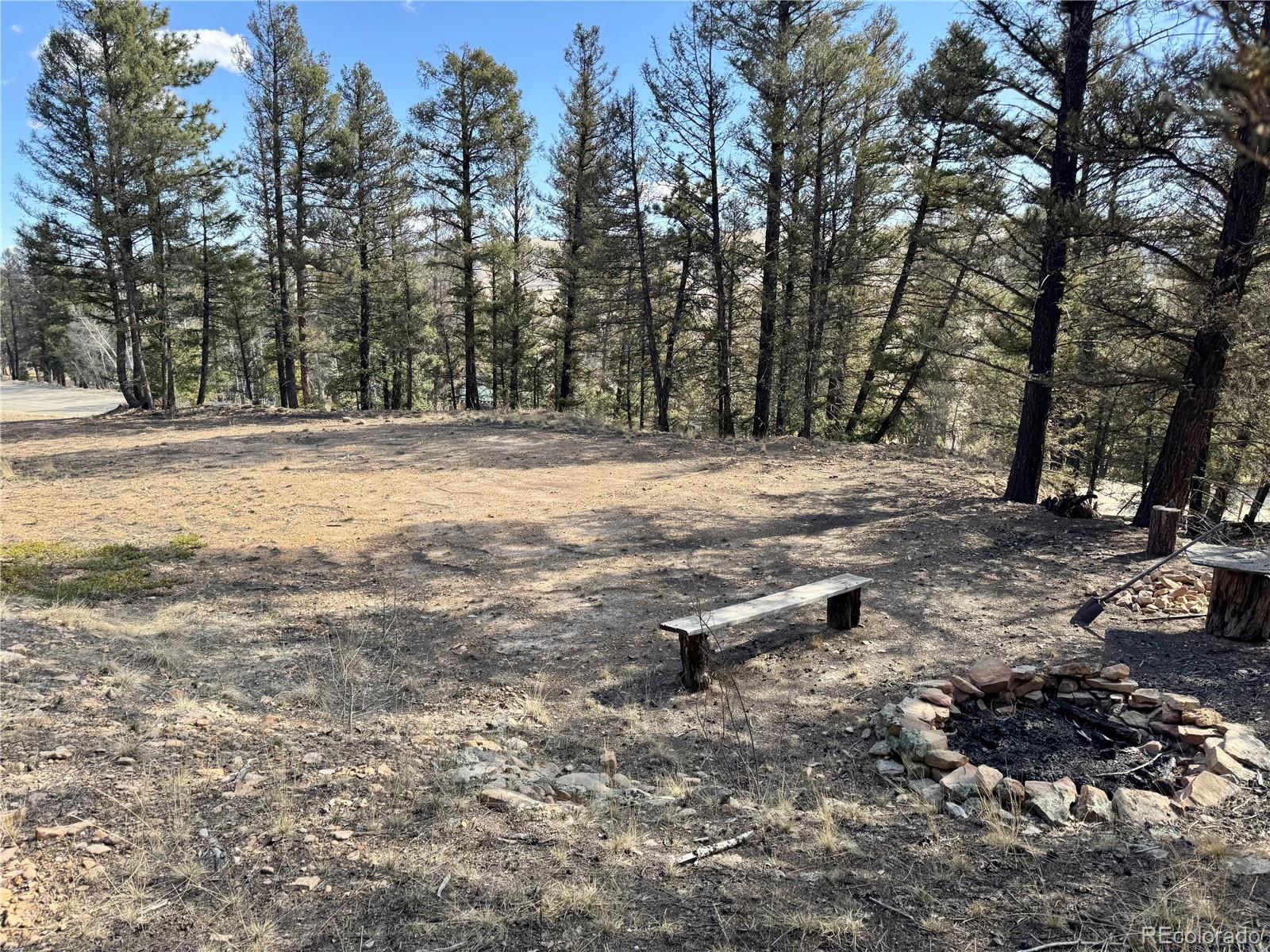 2403 Redhill Rd Lot 037, Fairplay, CO 80440