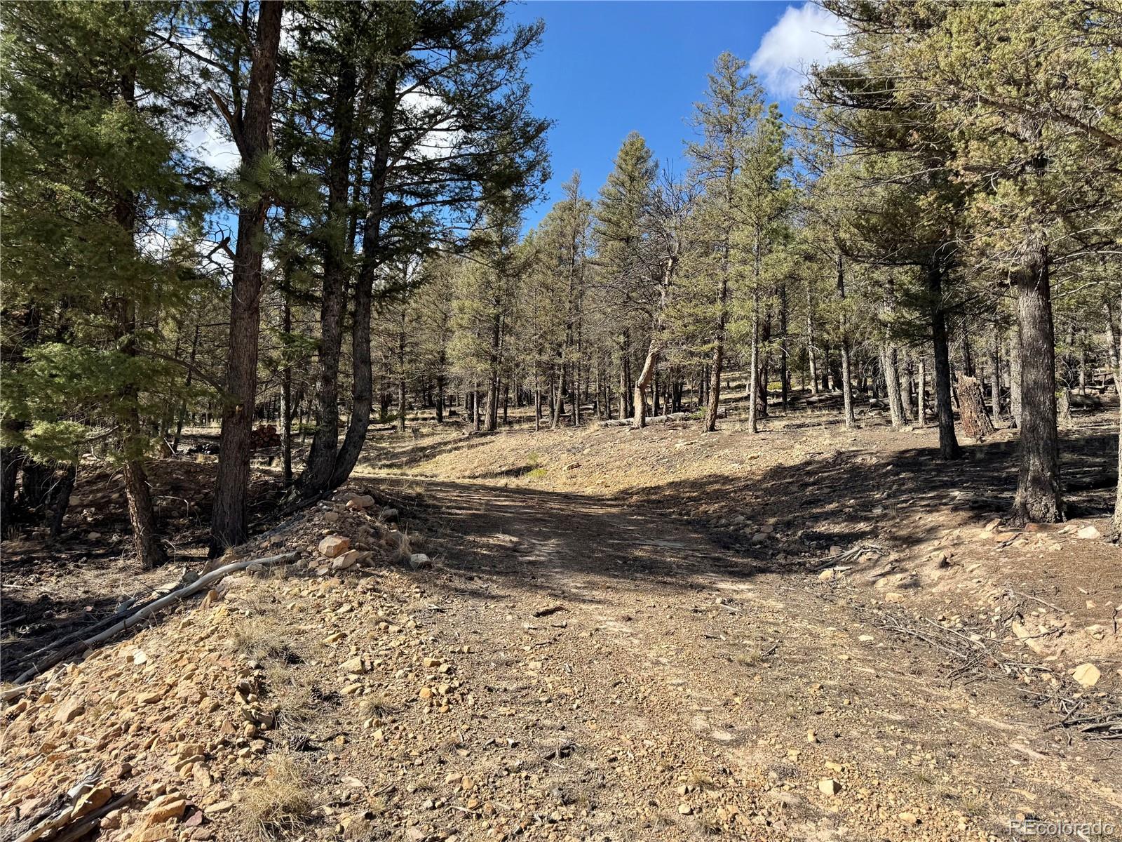 2403 Redhill Rd Lot 037, Fairplay, CO 80440