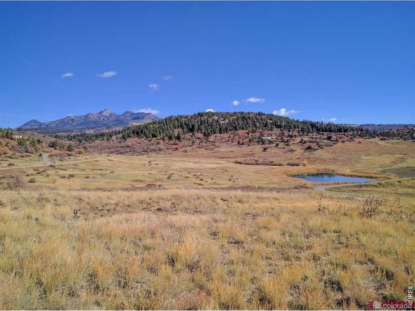 919 Roush Dr, Pagosa Springs, CO 81147