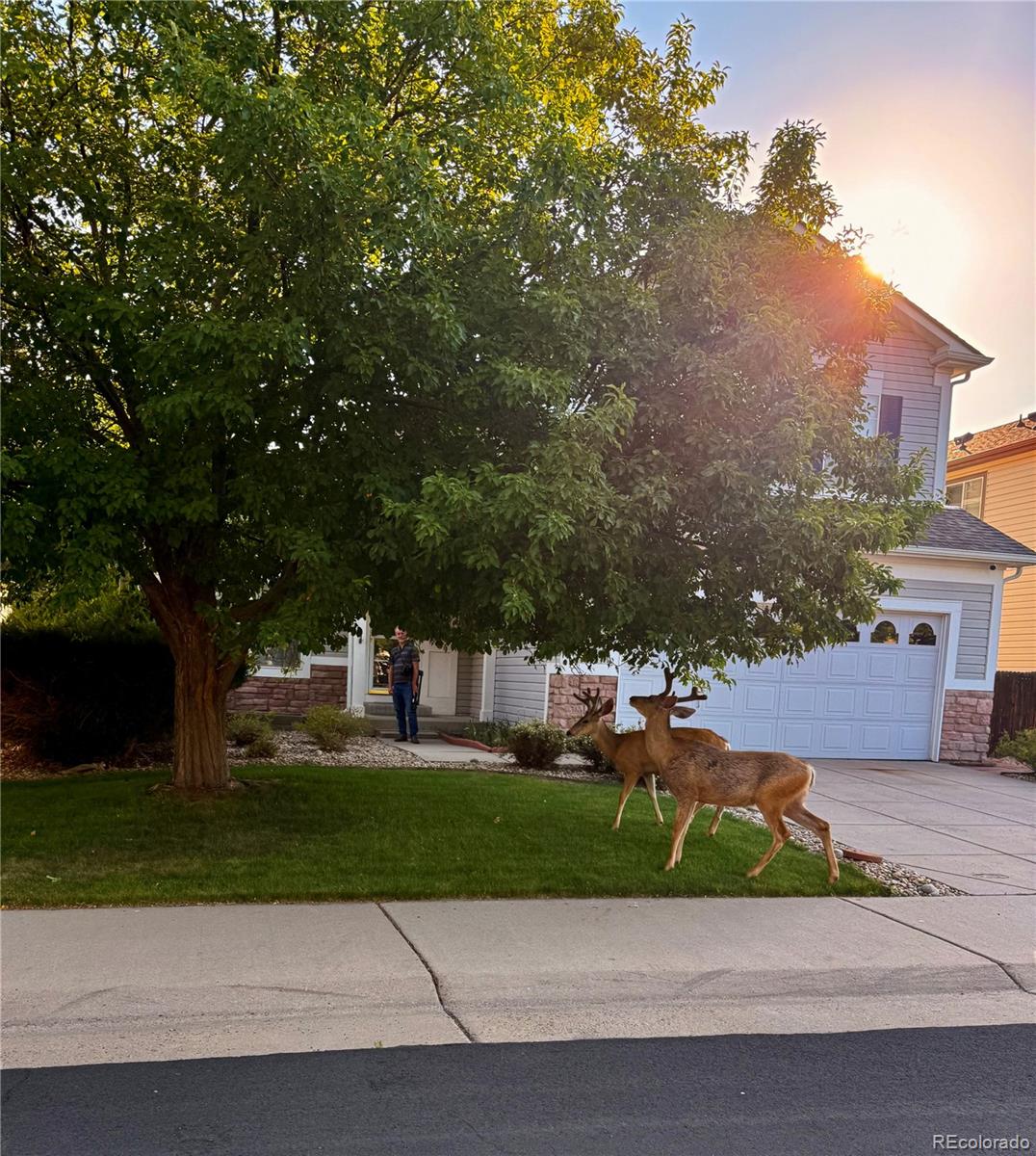 20409 Heather Ln, Parker, CO 80138