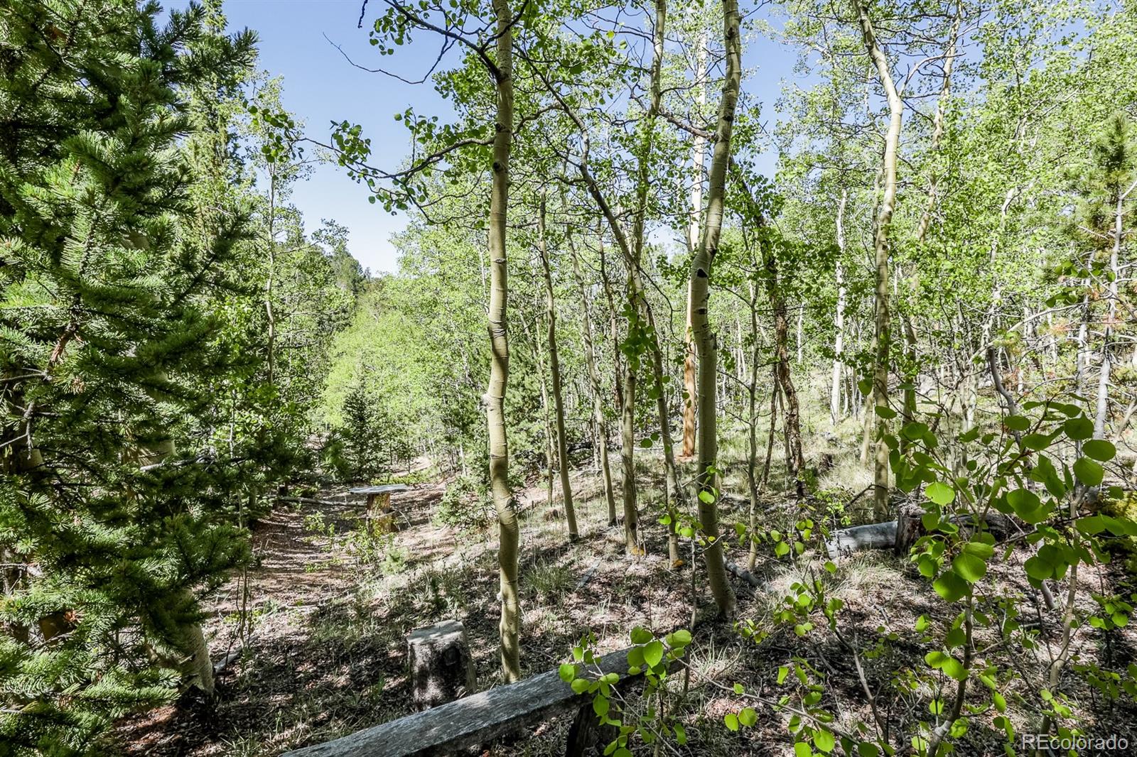 9525 S State Highway 67, Divide, CO 80814