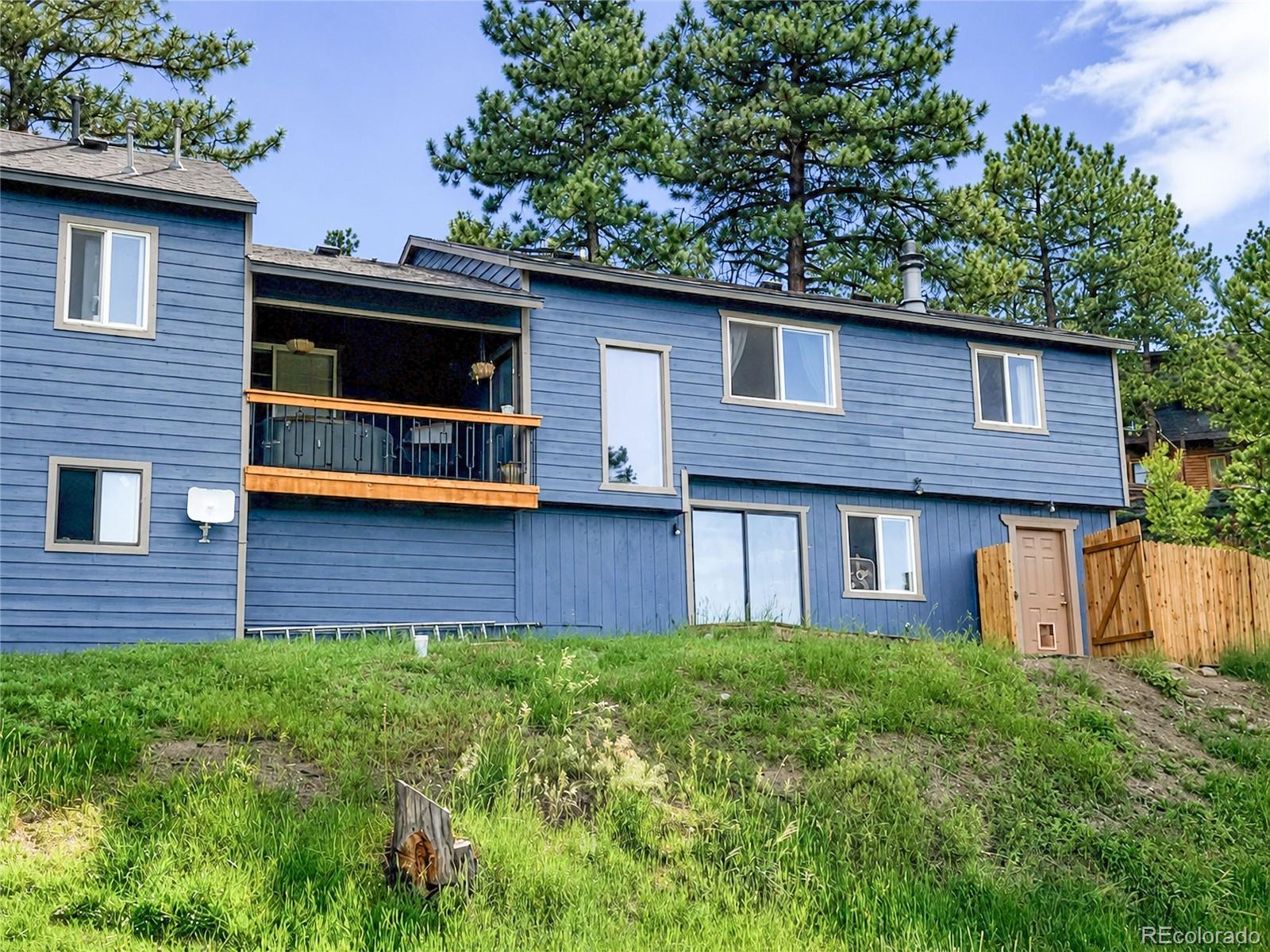 153 Chickadee Ln, Bailey, CO 80421
