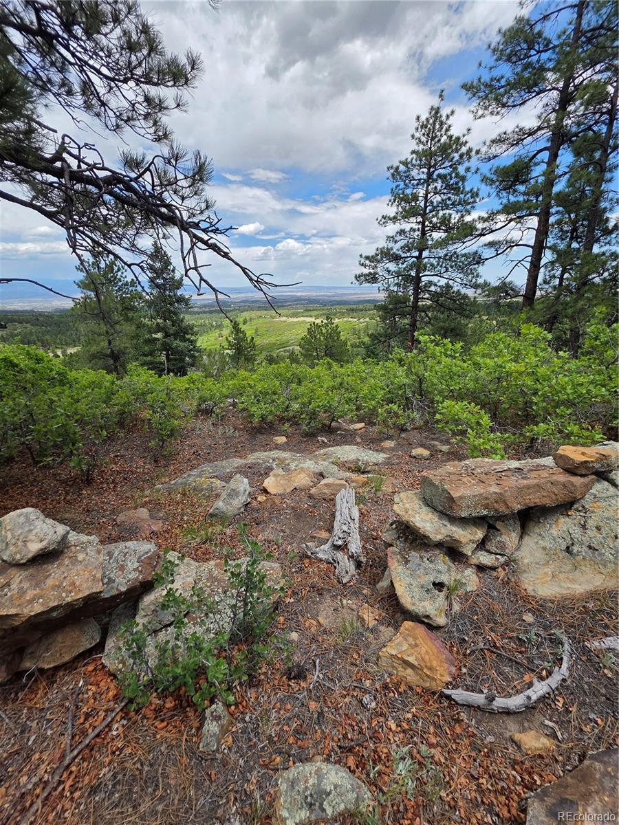 0 County Road 15, Florence, CO 81226