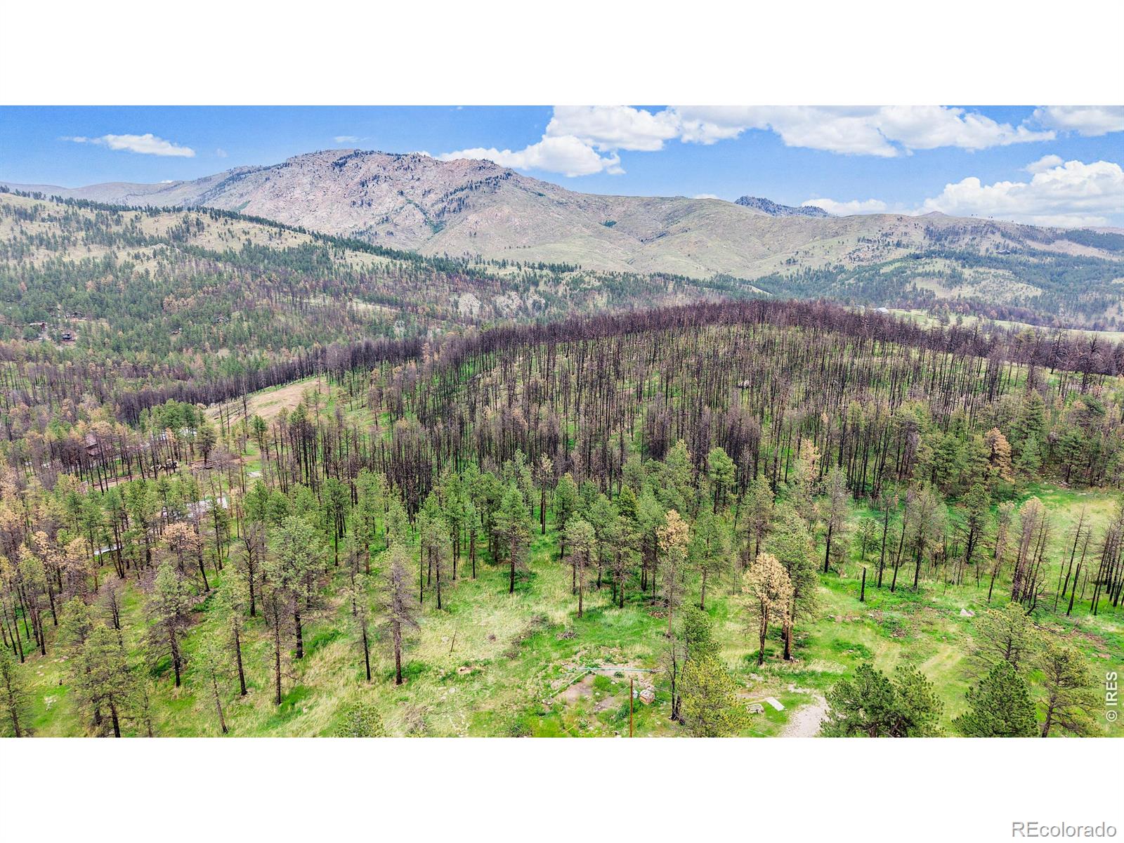 179 Green Ridge Rd, Drake, CO 80515