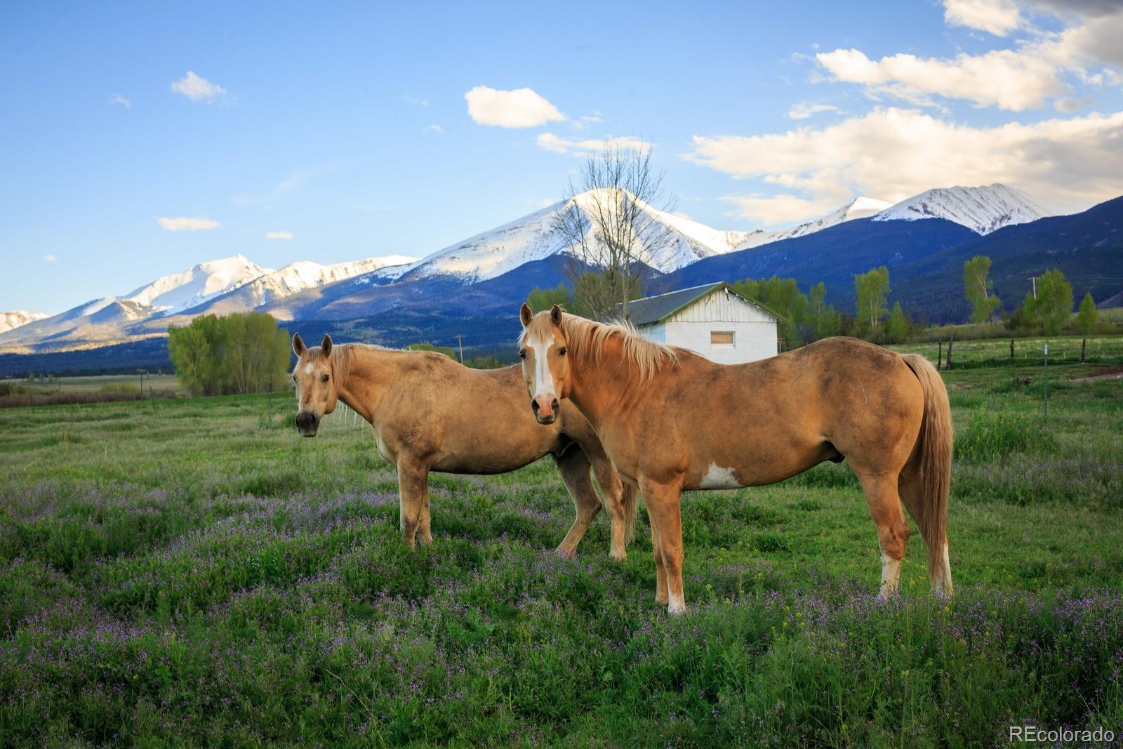 22 State Highway 69, Cotopaxi, CO 81223