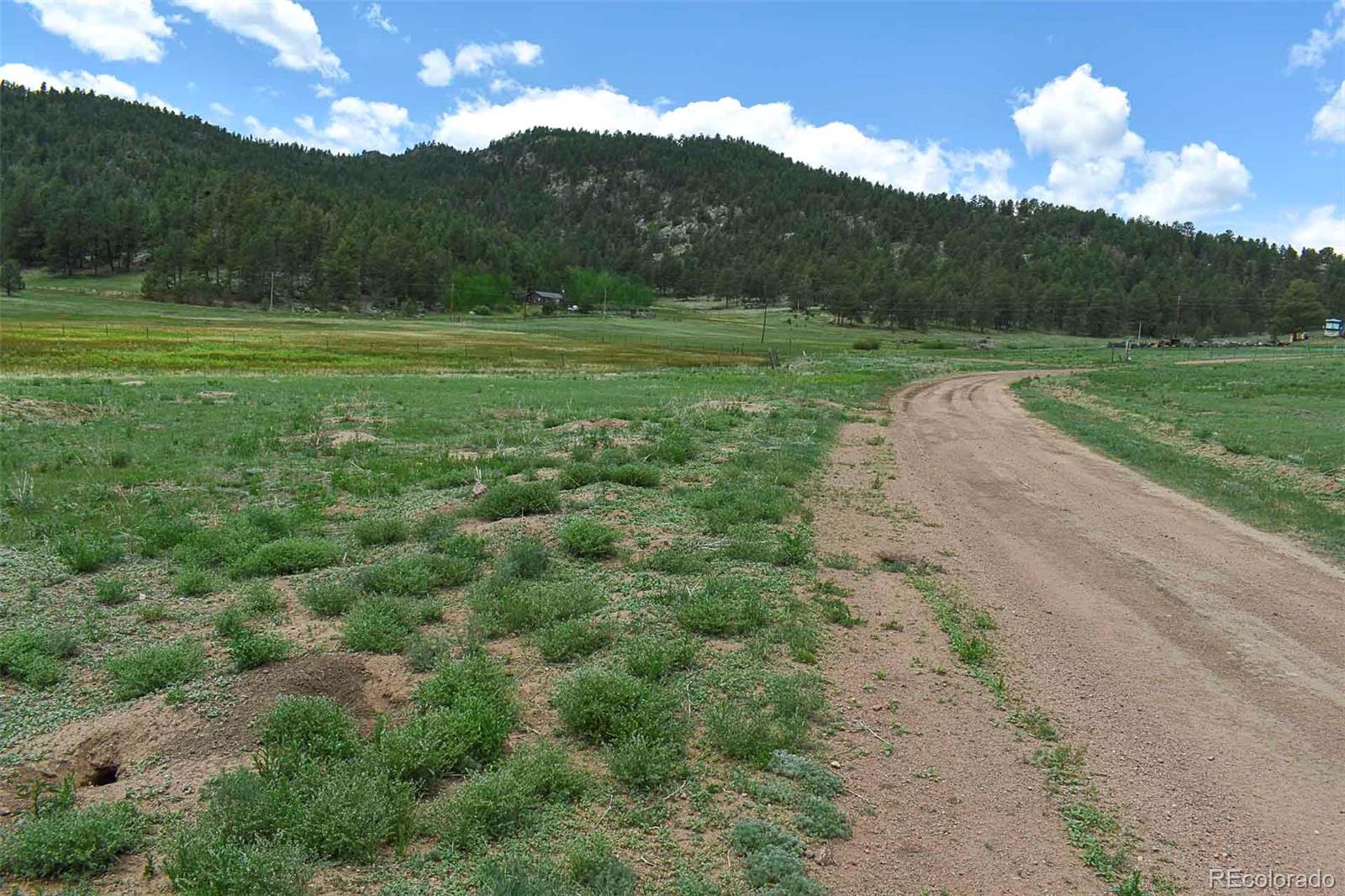 729 Valley Dr, Guffey, CO 80820