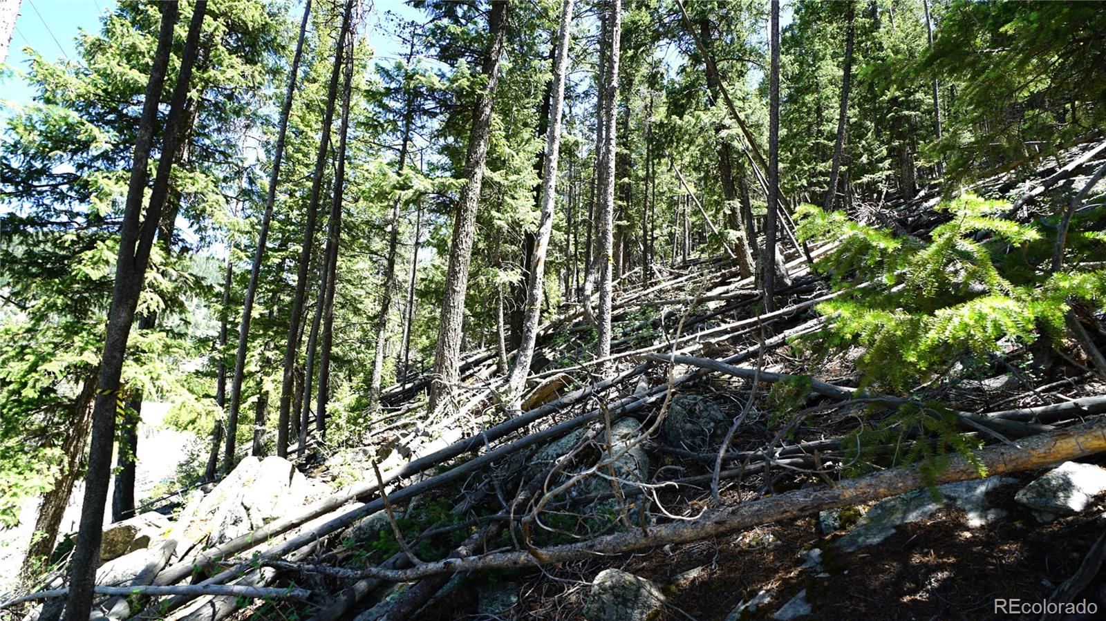 000 Saddleback Dr, Evergreen, CO 80439