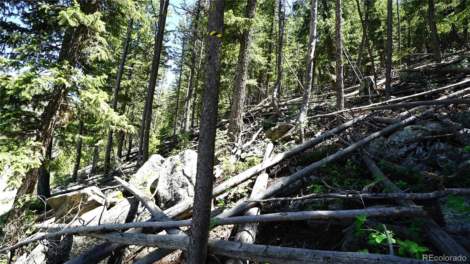 000 Saddleback Dr, Evergreen, CO 80439