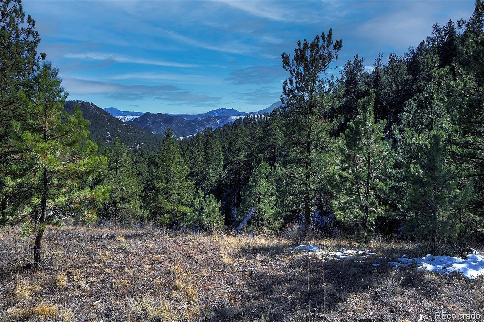 6 Turret Peak Trl Lot 6, Pine, CO 80470