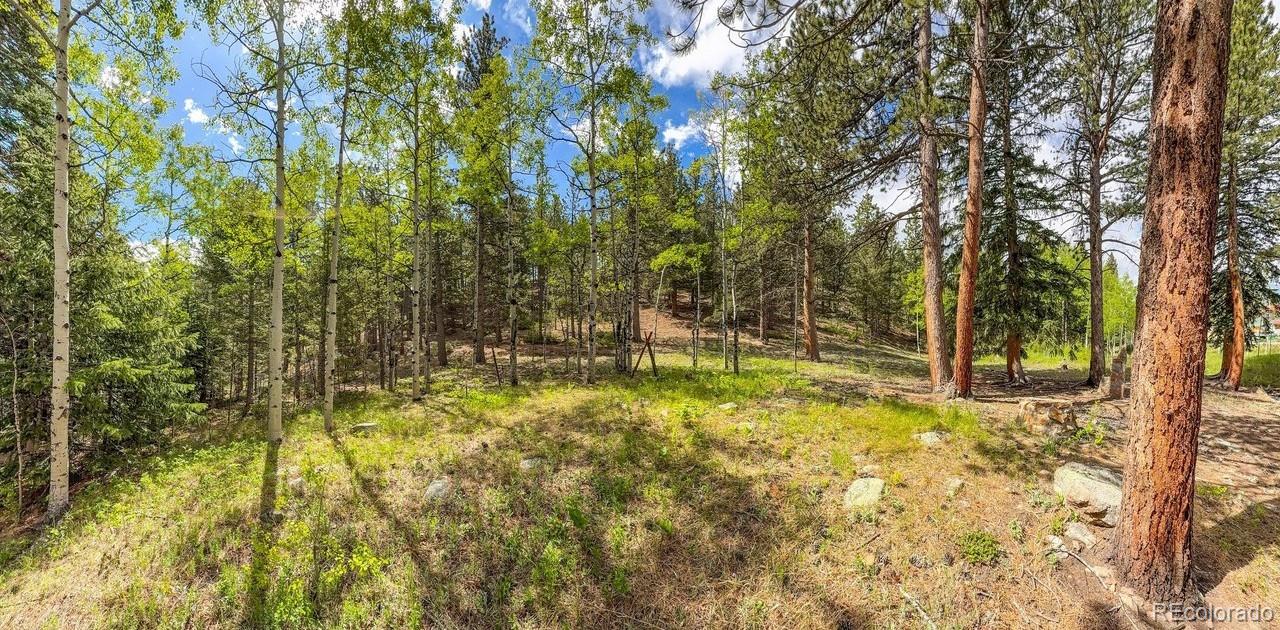 412 Highway 7 Business, Allenspark, CO 80510