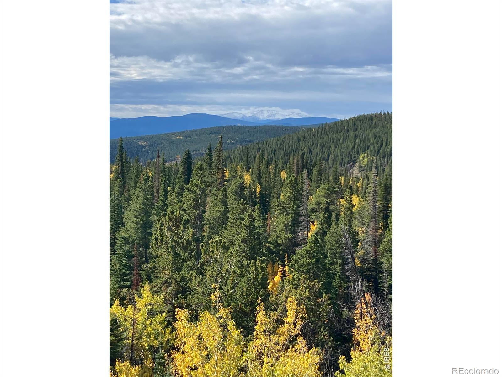 1199 Brainard Lake Rd, Ward, CO 80481