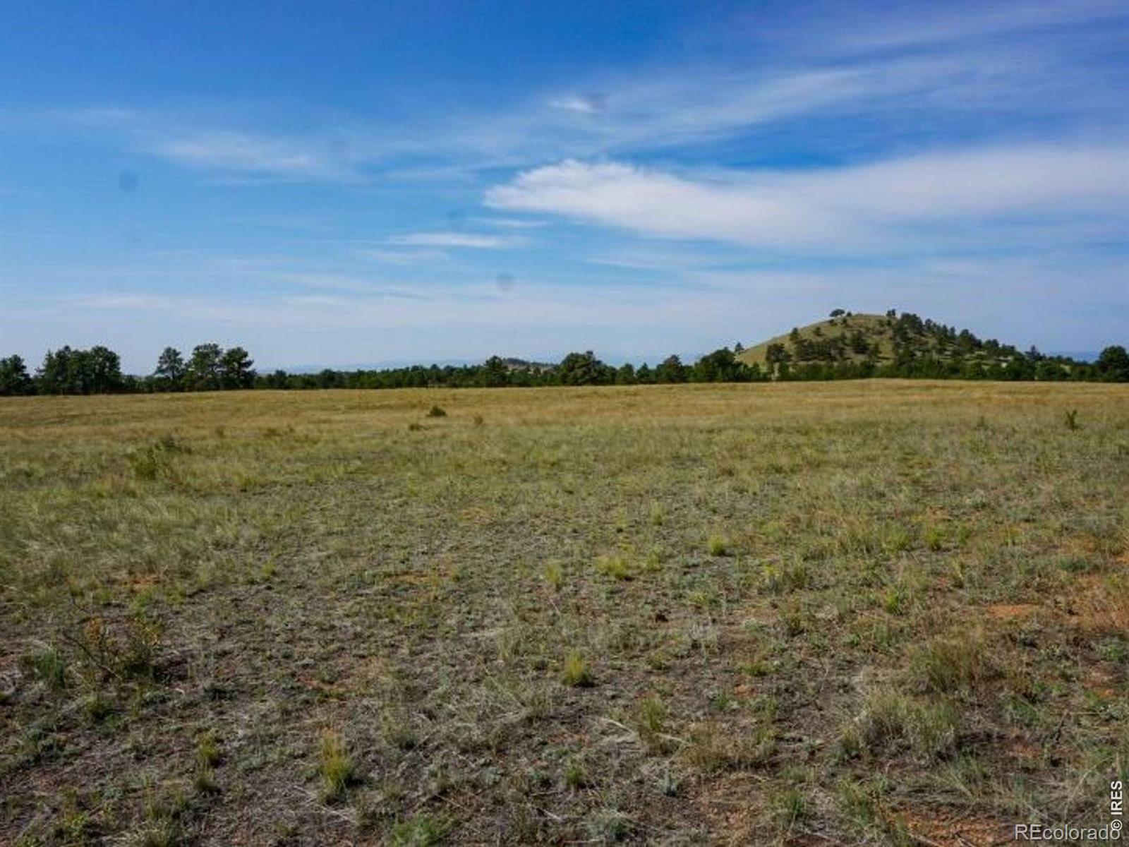 0 Stub Ct, Livermore, CO 80536