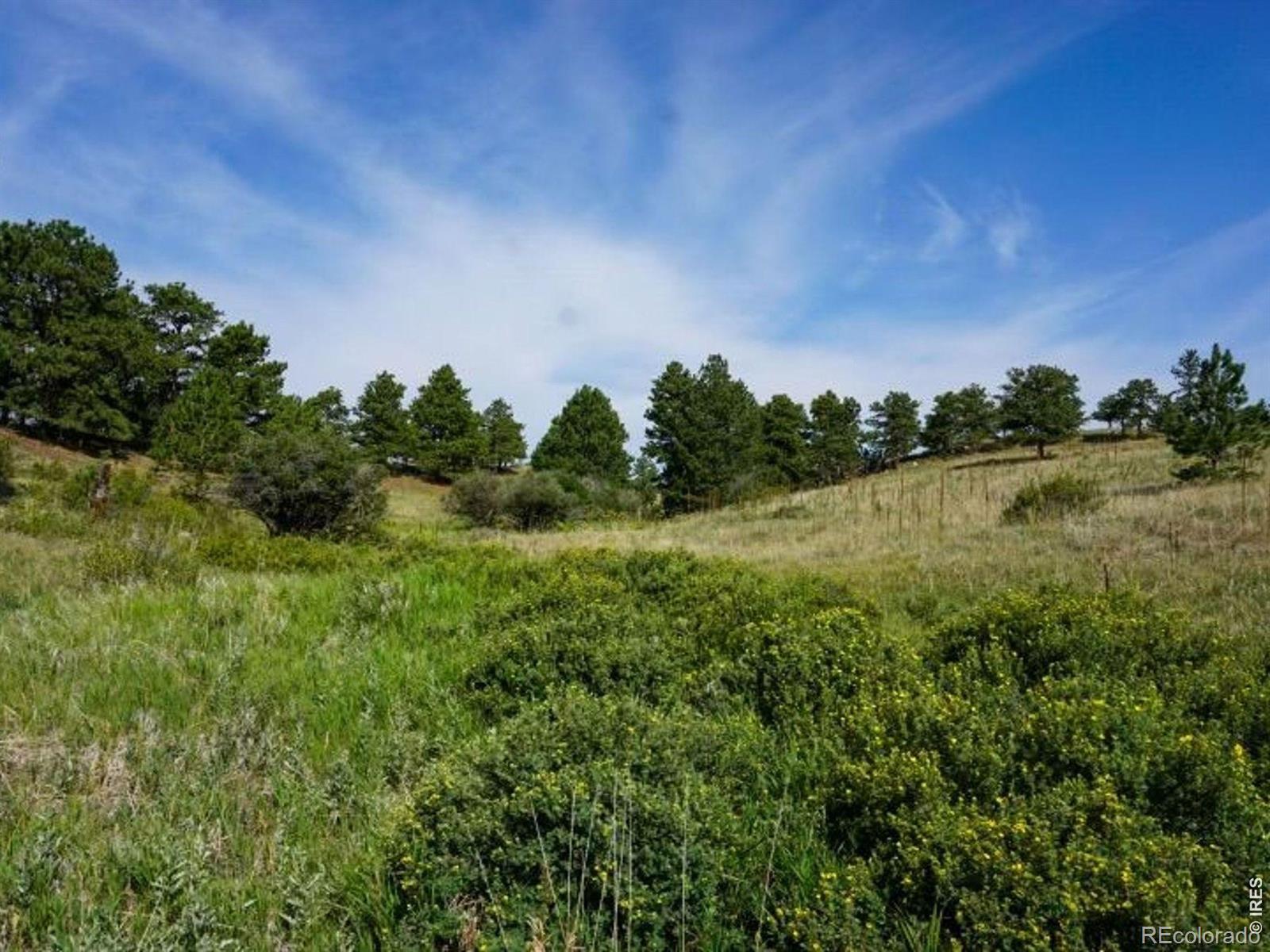 0 Stub Ct, Livermore, CO 80536