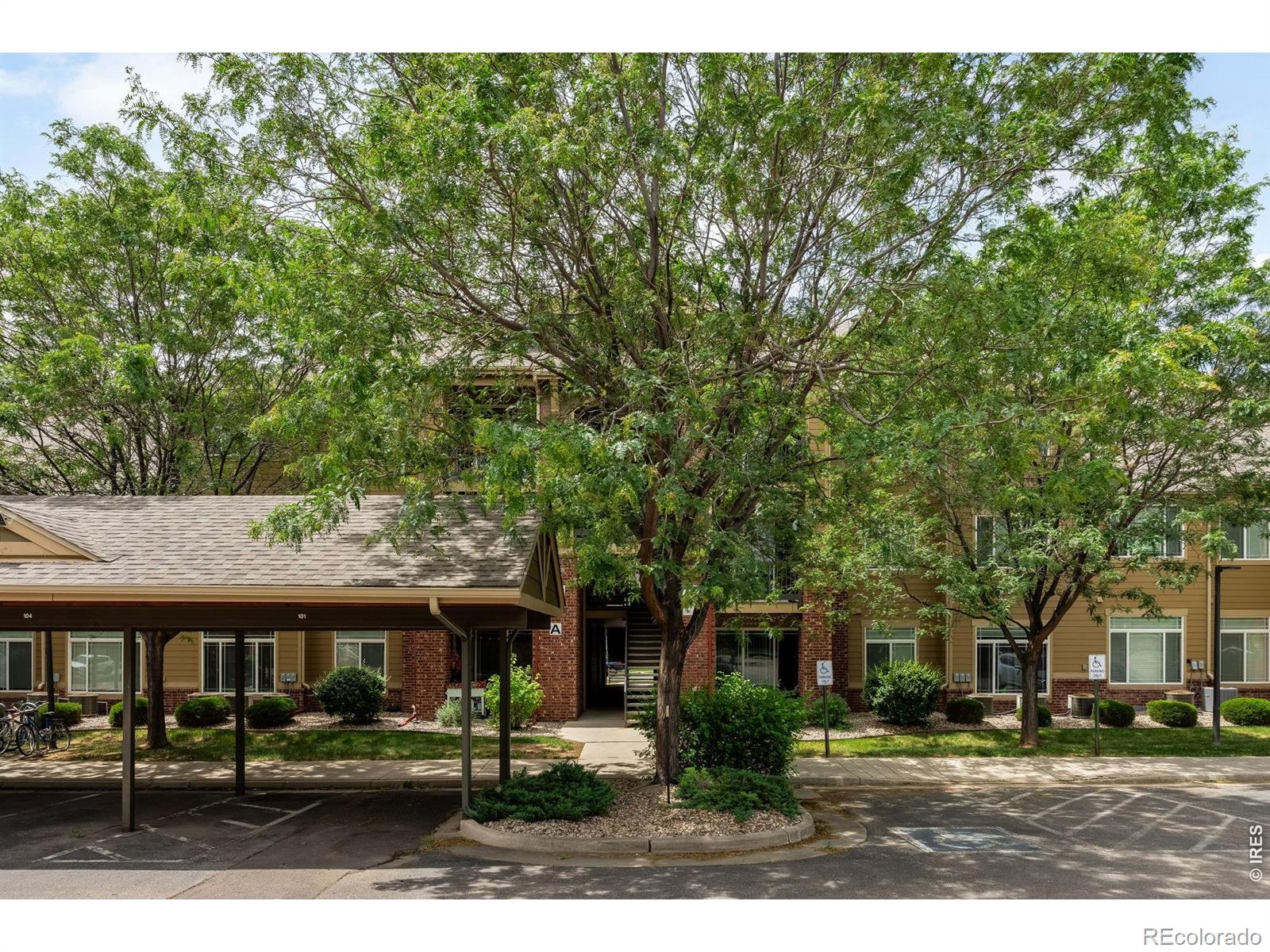 2445 Windrow Dr #301, Fort Collins, CO 80525
