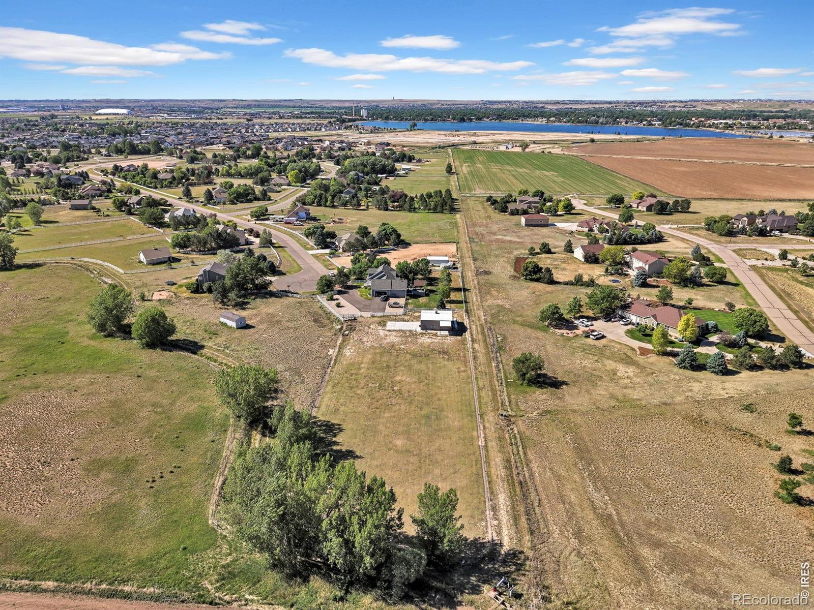 938 Clydesdale Ln, Windsor, CO 80550