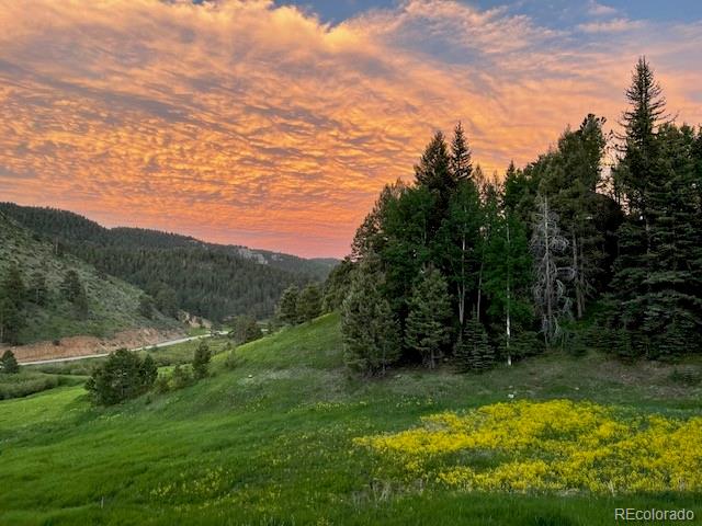 12090 Tecumseh Trl, Conifer, CO 80433