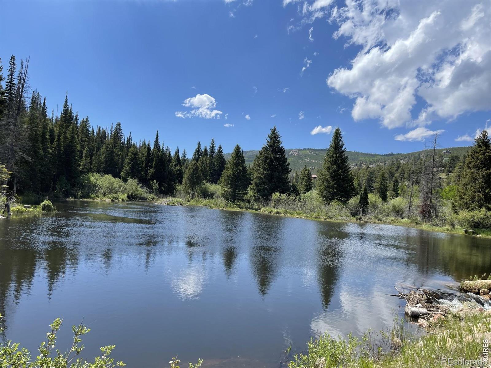231 Nanticoke Ct, Red Feather Lakes, CO 80545