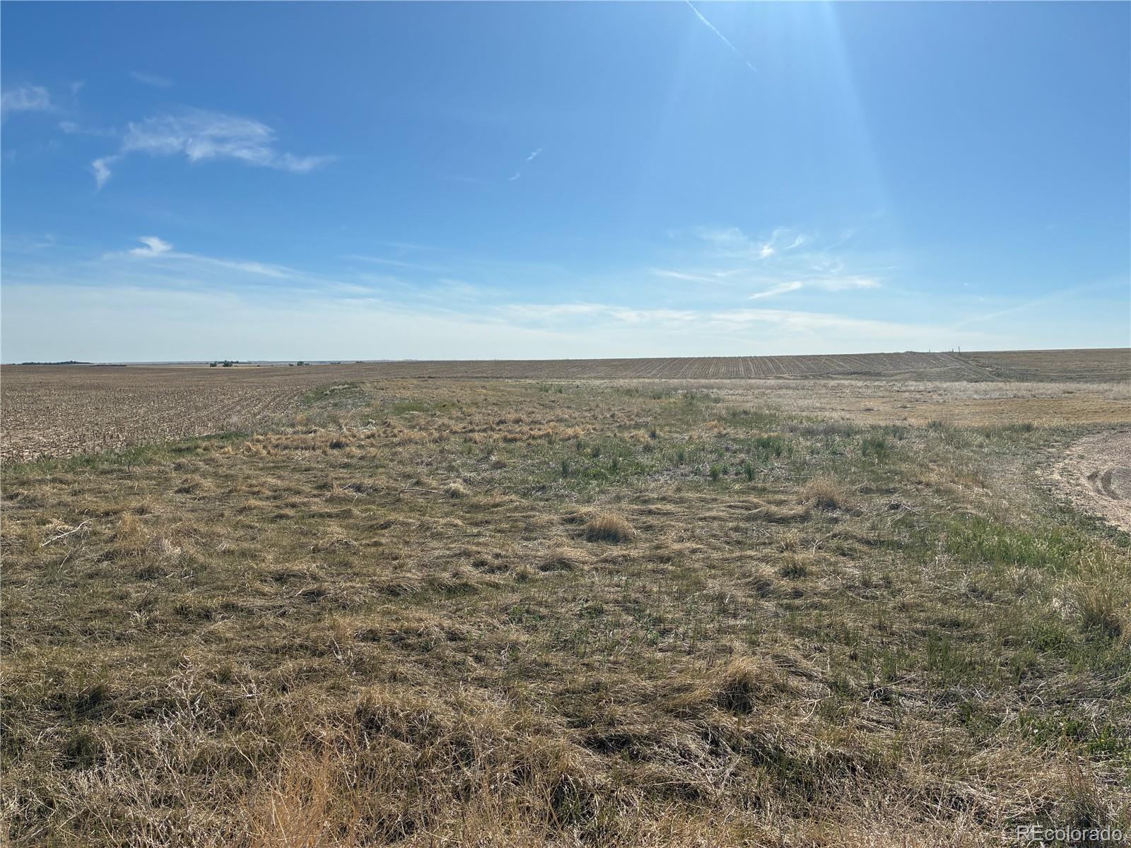 Wolf Creek, Strasburg, CO 80136
