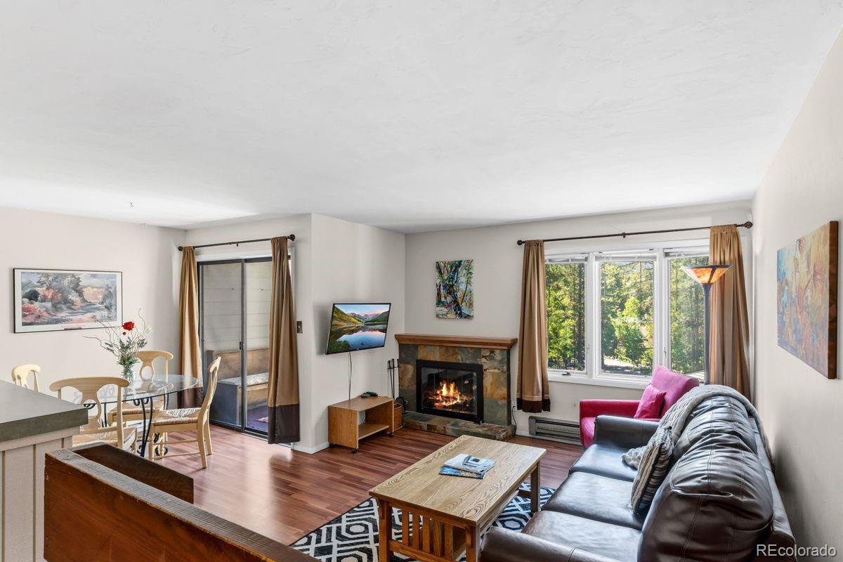 246 Broken Lance Dr #402, Breckenridge, CO 80424