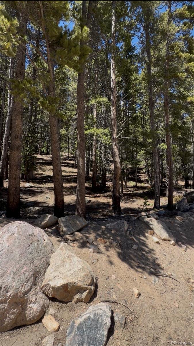 Lot 378 Alice Rd Lot 378, Idaho Springs, CO 80452