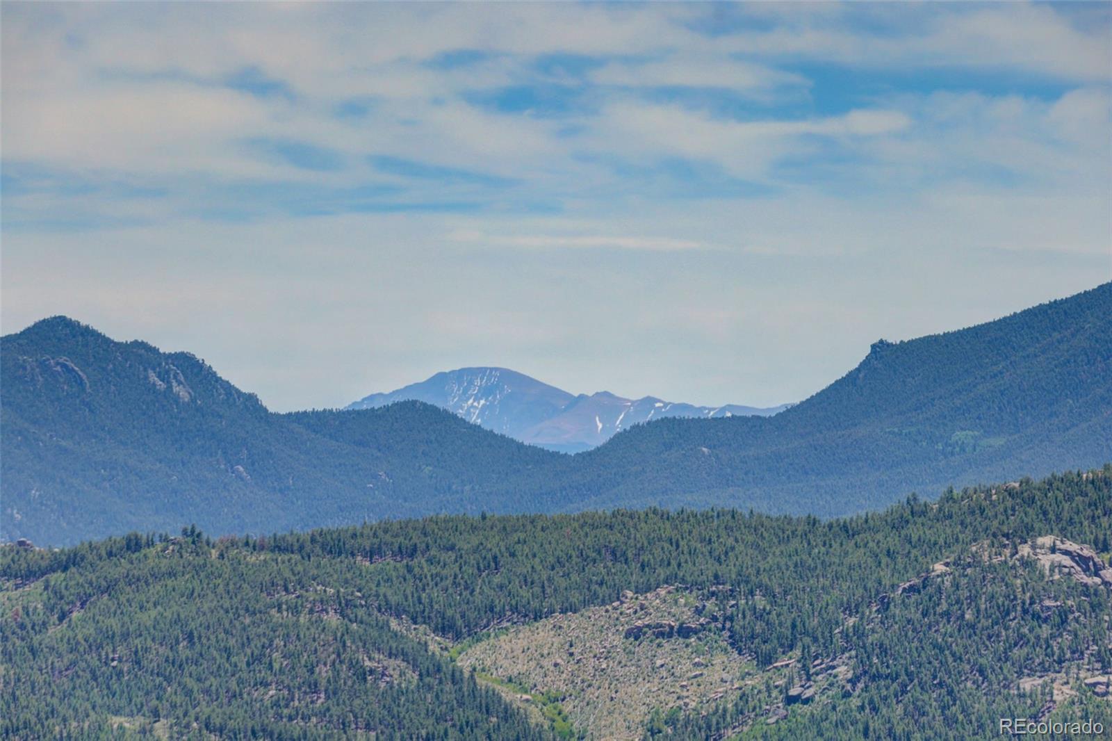 30236 Zurich Dr, Pine, CO 80470