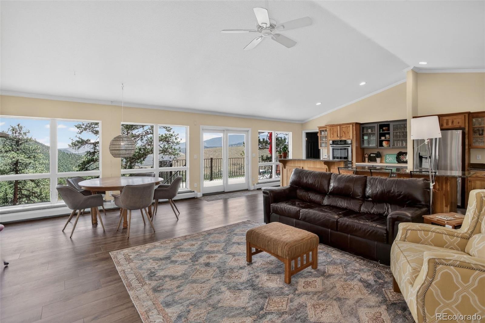 30236 Zurich Dr, Pine, CO 80470