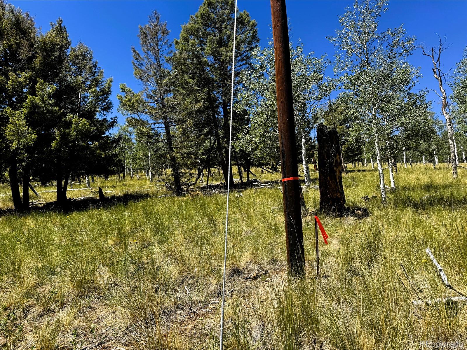 144 Kaufman Ct Lot 1213, Hartsel, CO 80449