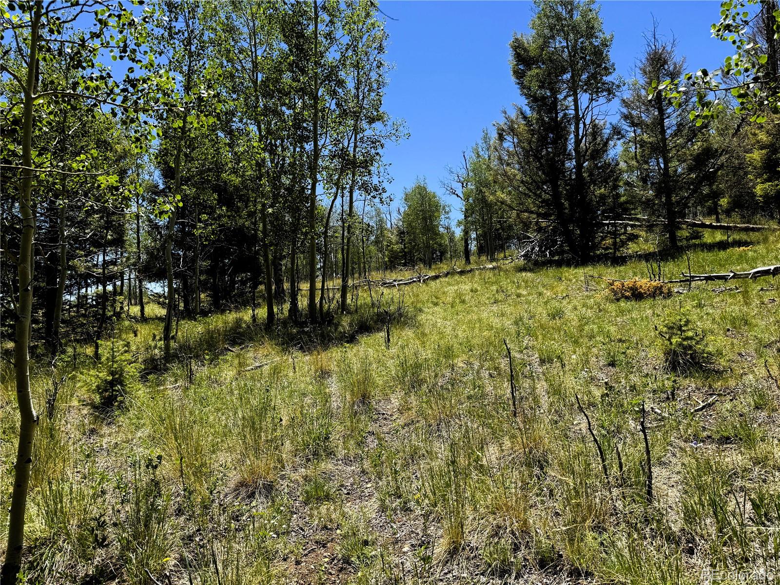 144 Kaufman Ct Lot 1213, Hartsel, CO 80449