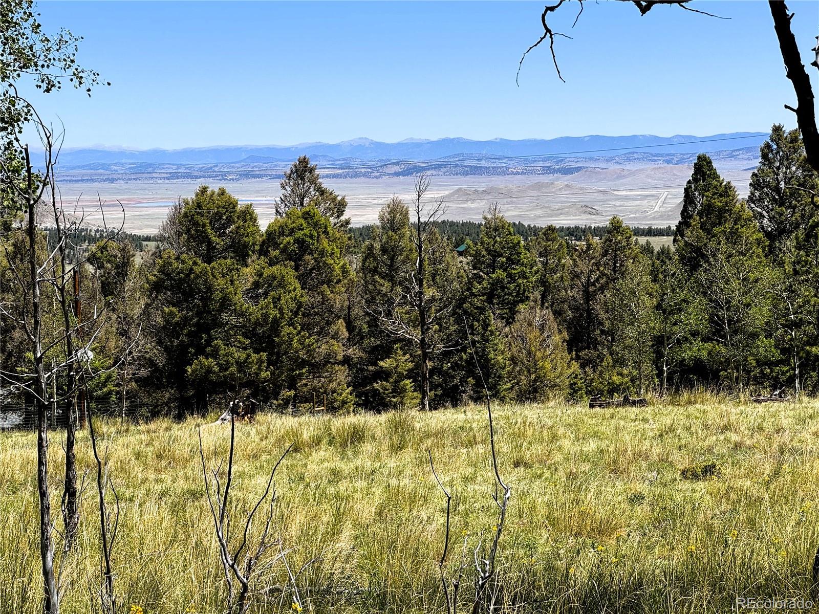 110 Kaufman Ct Lot 1214, Hartsel, CO 80449