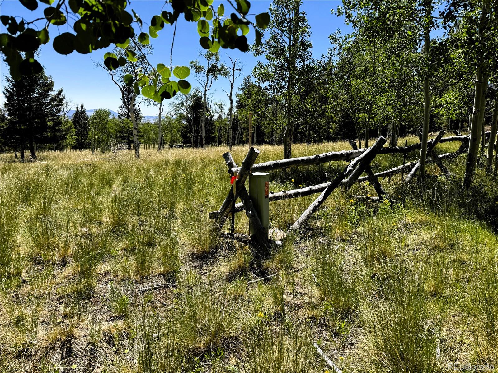 110 Kaufman Ct Lot 1214, Hartsel, CO 80449