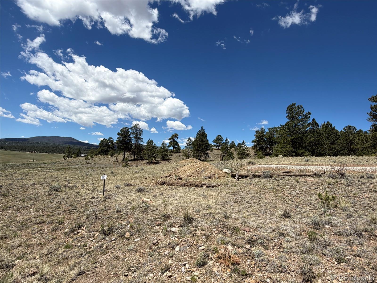 595 Bridle Pa, Hartsel, CO 80449