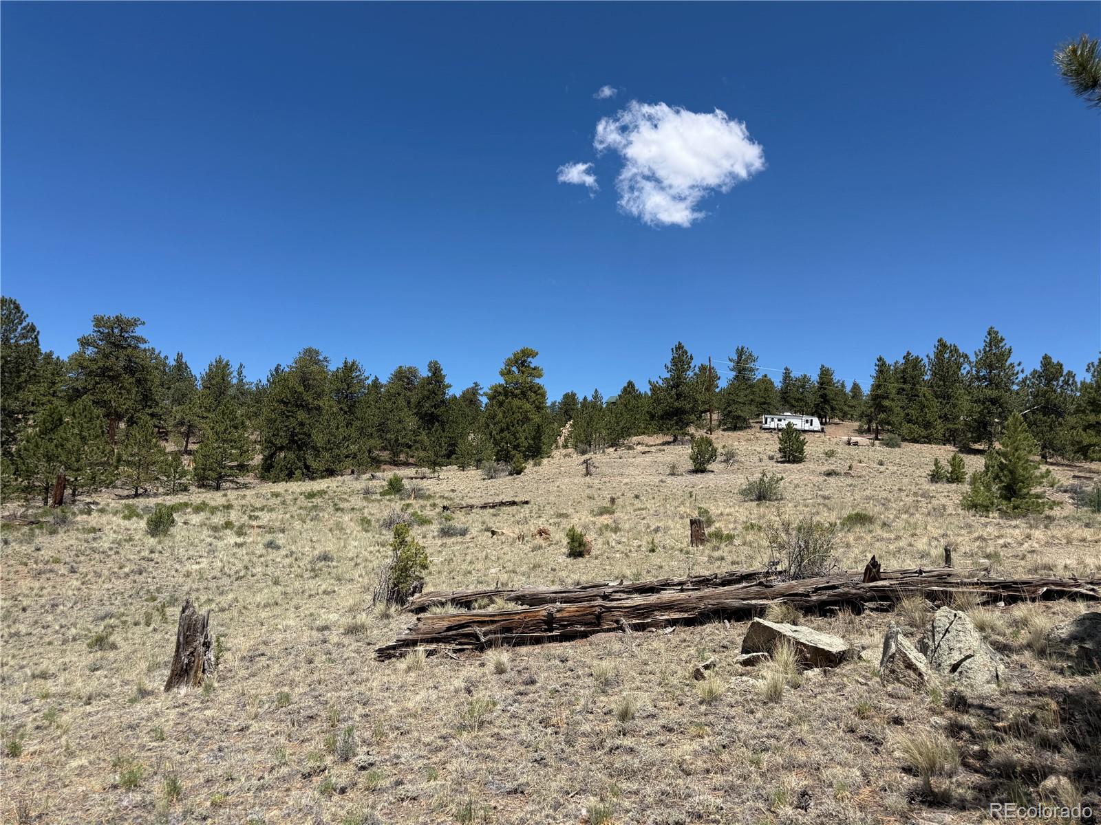 595 Bridle Pa, Hartsel, CO 80449