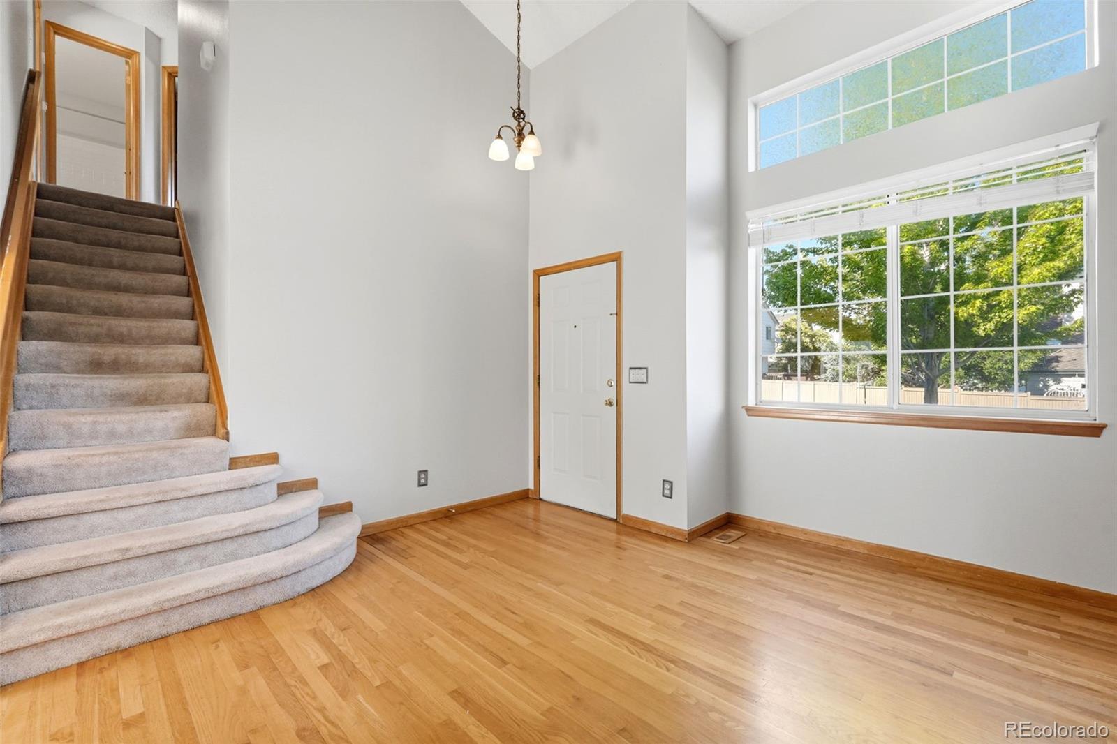 4607 N Foxtail Dr, Castle Rock, CO 80109