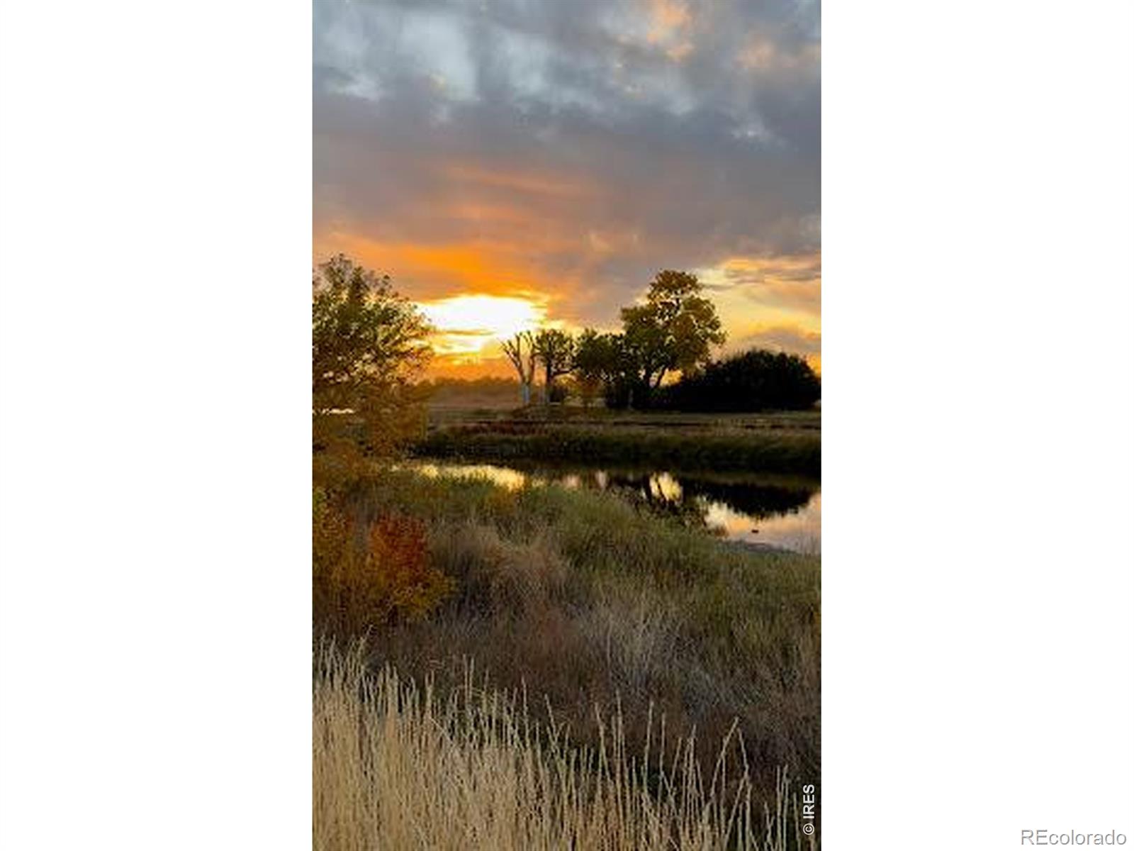 8451 Madison Way, Denver, CO 80229