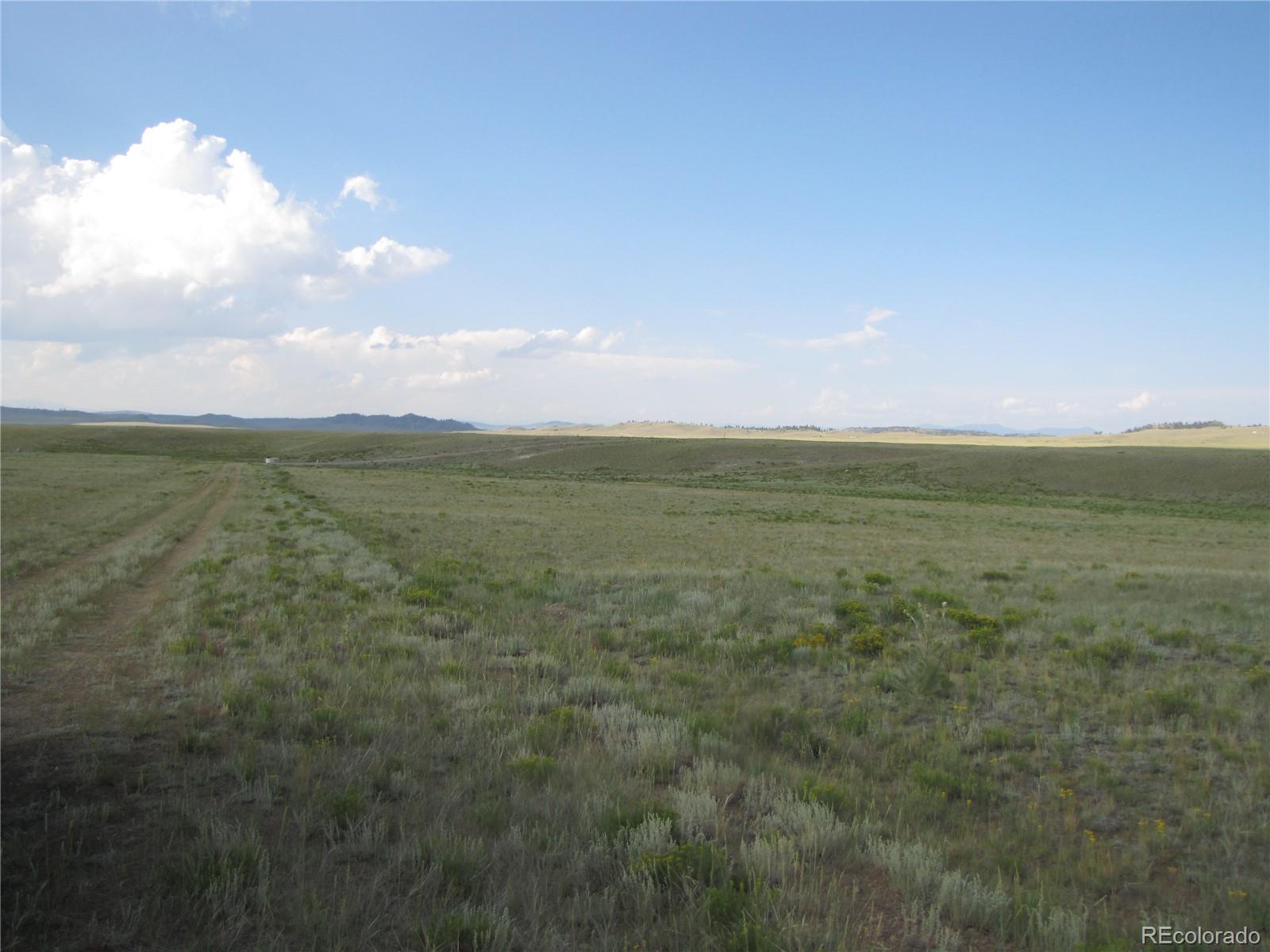 1429D Anadarko Rd, Hartsel, CO 80449