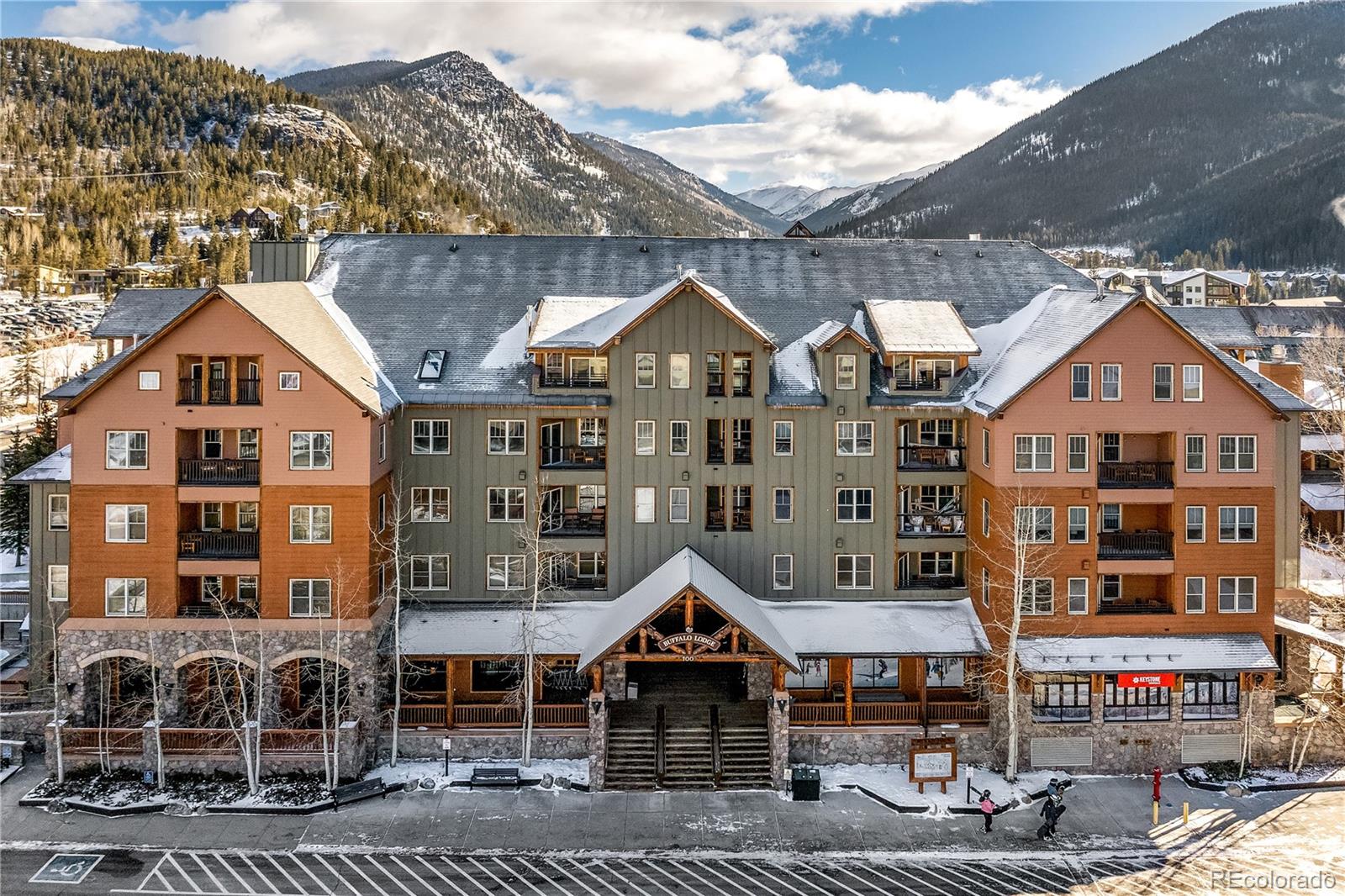 100 Dercum Sq #8343, Dillon, CO 80435