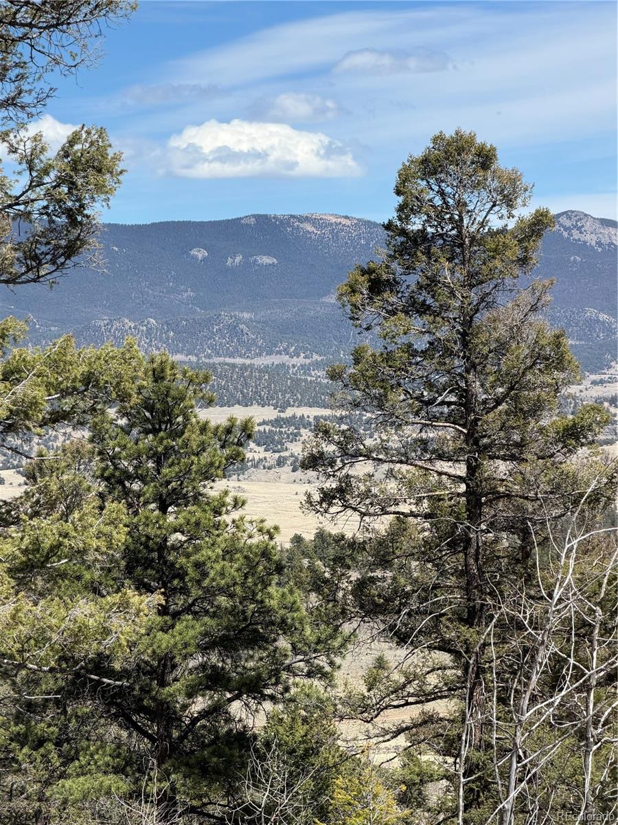 233 Cradle Board Ct, Jefferson, CO 80456