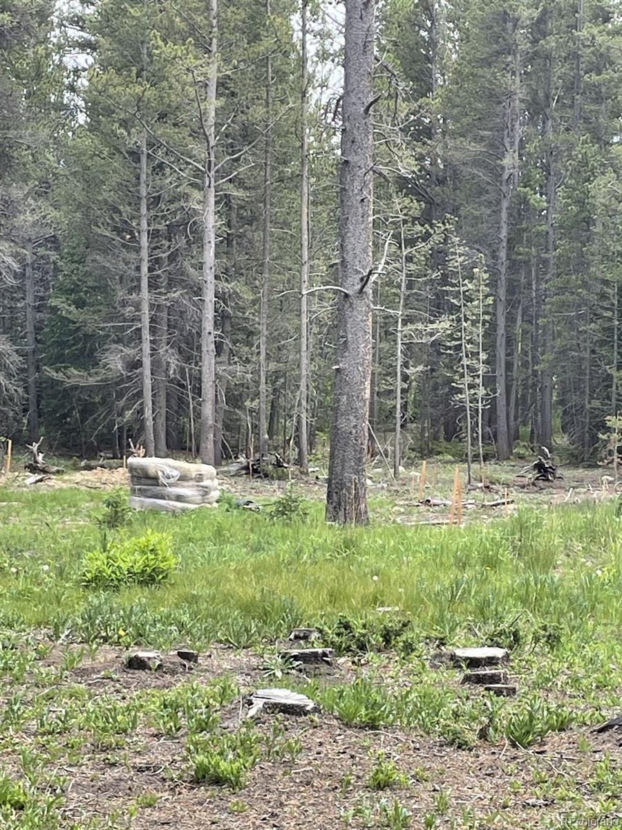 Silver Creek Rd, Idaho Springs, CO 80452