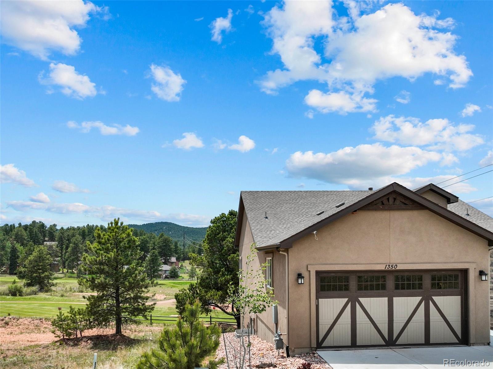 1350 Longs Point, Woodland Park, CO 80863