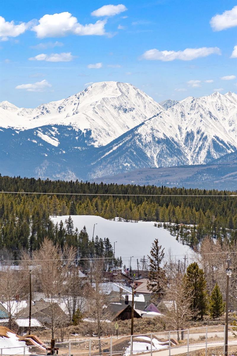 428 W 6th St, Leadville, CO 80461