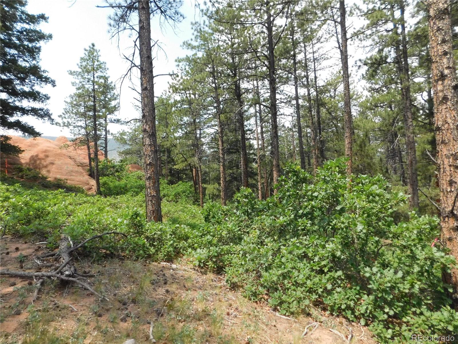 8356 Quivas Rd, Larkspur, CO 80118
