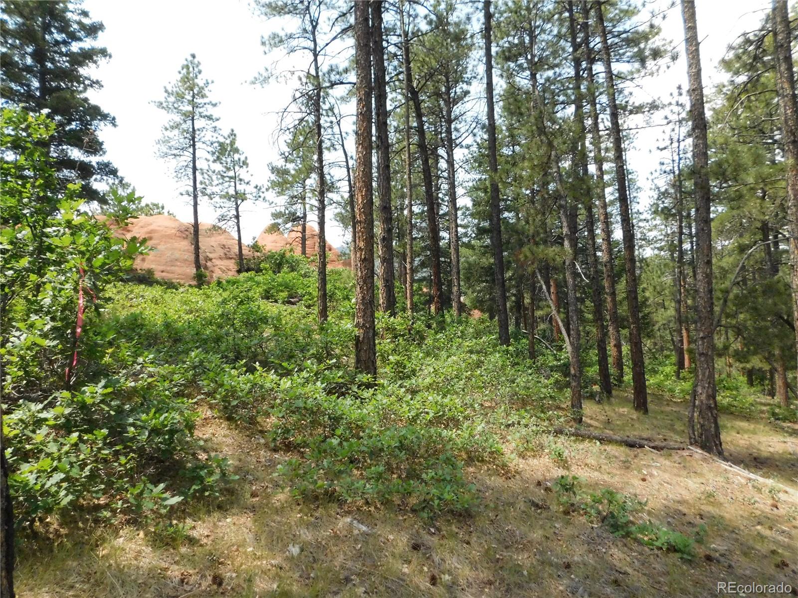 8356 Quivas Rd, Larkspur, CO 80118