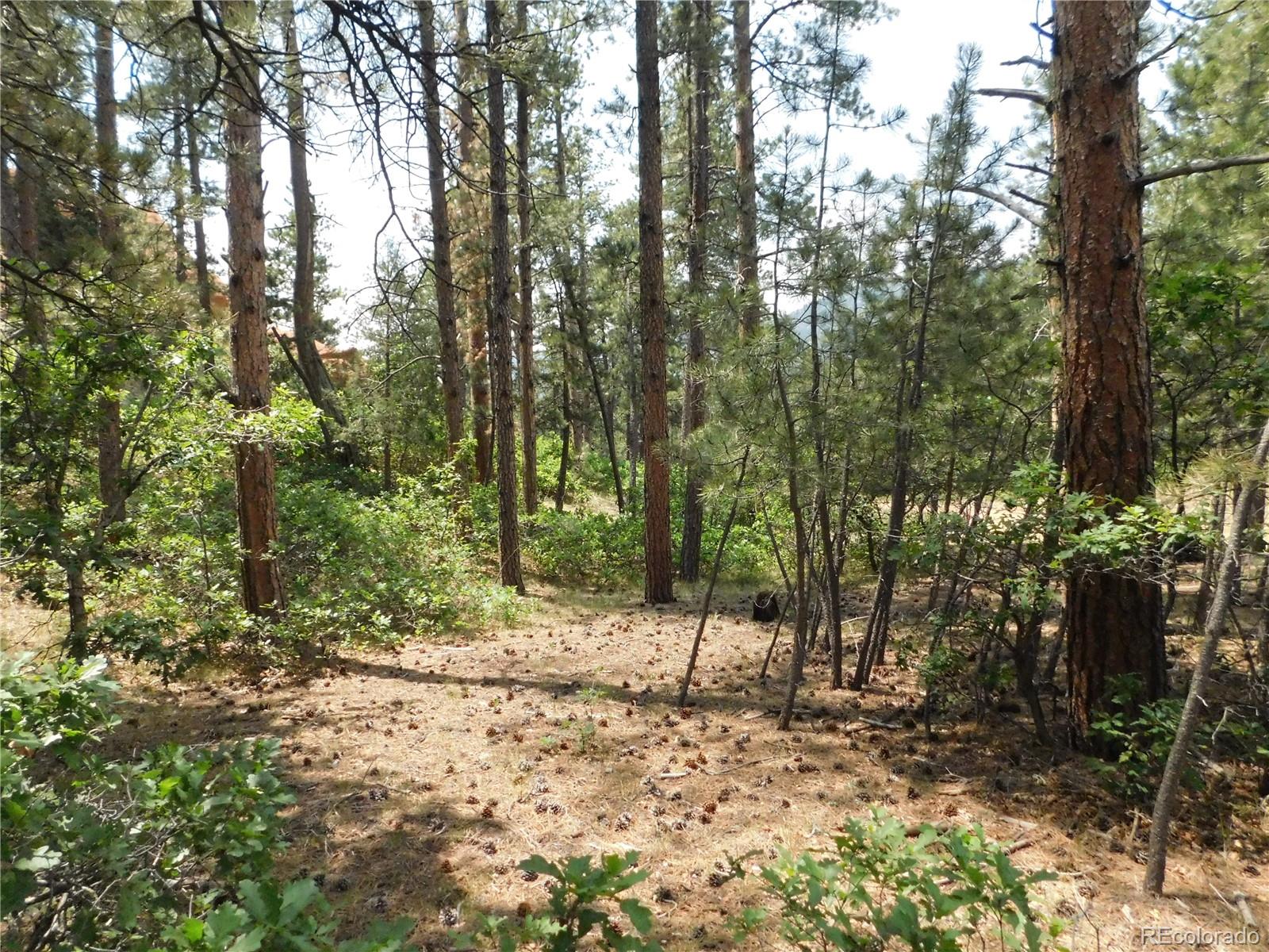 8356 Quivas Rd, Larkspur, CO 80118