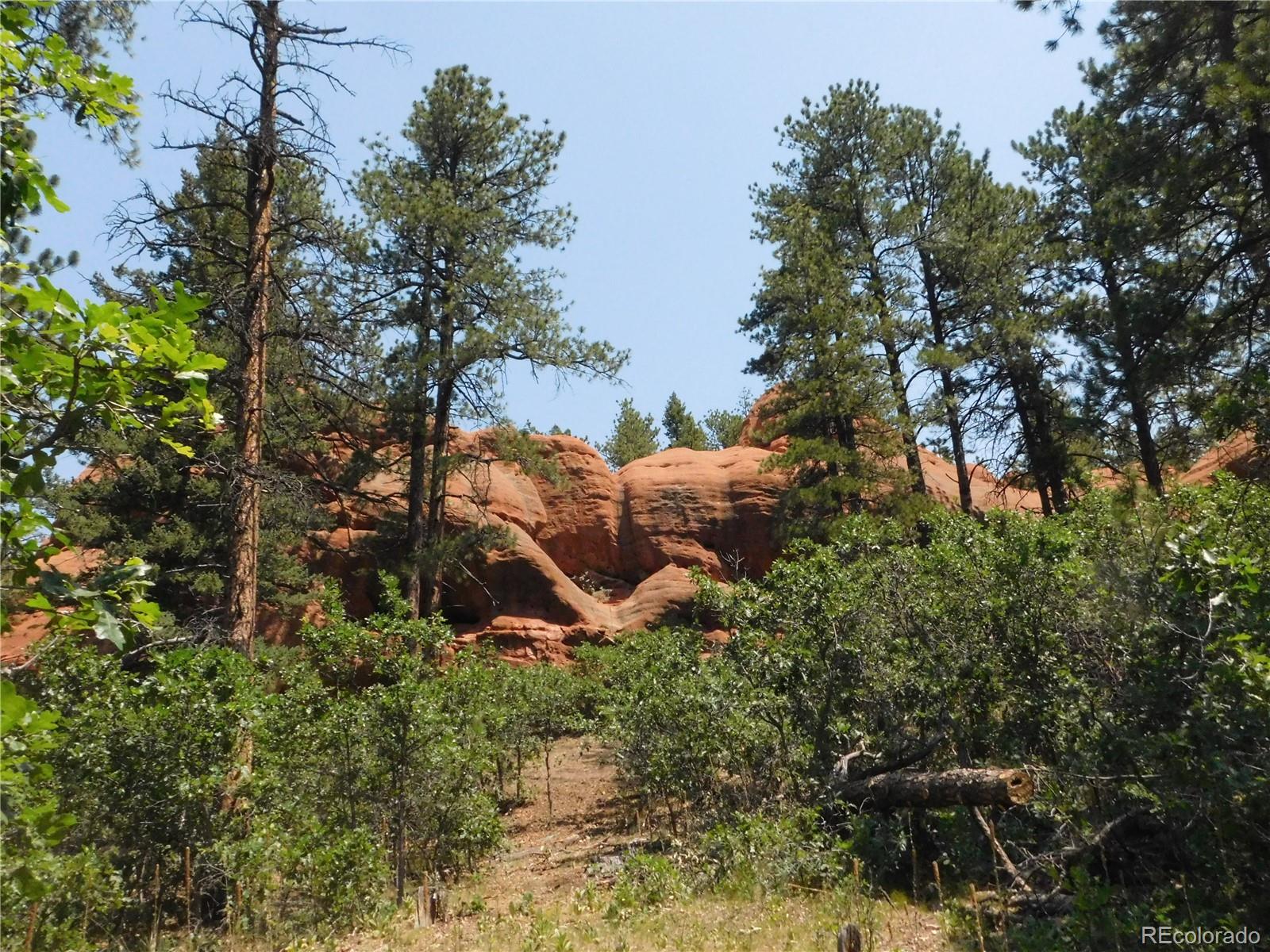 8202 Bannock Dr, Larkspur, CO 80118